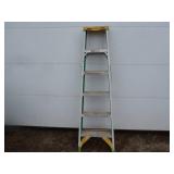 Werner Fiberglass Ladder 6