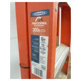 Werner Fiberglass Ladder 6
