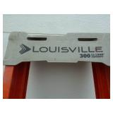 Louisville Fiberglass Ladder 6