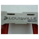 Louisville Fiberglass Ladder 6