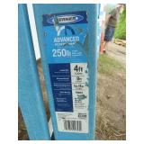 Werner Fiberglass Ladder 4