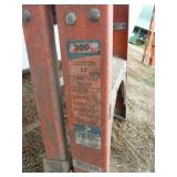 Louisville Fiberglass Ladder 3