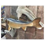 Fabulous! Walleye Mount! Fabulous! Walleye Mount!