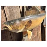 Fabulous! Walleye Mount! Fabulous! Walleye Mount!