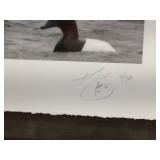 Lee Thomas Kjos Wildlife Photo "Talon" - S&N Lee Thomas Kjos Wildlife Photo "Talon" - S&N