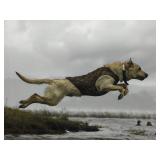 Lee Thomas Kjos Wildlife Photo "Talon" - S&N Lee Thomas Kjos Wildlife Photo "Talon" - S&N