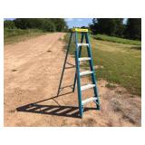 Werner Electro-Master 6006 Fiberglass 6 Ft Ladder - 250 Lbs Werner Electro-Master 6006 Fiberglass 6 Ft Ladder - 250 Lbs