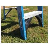 Werner 4 Ft Fiberglass Ladder - 250 Lbs Werner 4 Ft Fiberglass Ladder - 250 Lbs