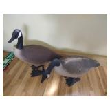 (2) Large Goose Decoys (2) Large Goose Decoys