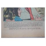 Vintage DC Comic SUPERBOY starring THE LEGION OF SUPER-HEROES. #202. 1974