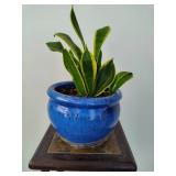 Potted Snake Plant and Tall Plant Stand