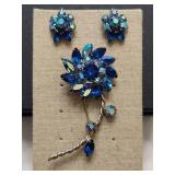 Stunning Brooch & Screw Back Earring set