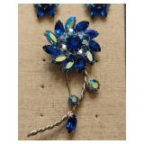 Stunning Brooch & Screw Back Earring set