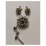 Stunning Brooch & Screw Back Earring set