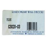 LR - Framed Randomlane Wall Decor "Pears" Print by Bo J