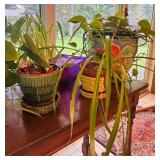 K - Antique Wooden Accent Table with Turned Legs and Variety of Plants!