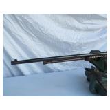Rossi 22 Pump Takedown Rifle