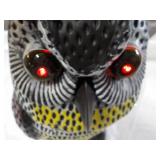 16" Solar Owl...