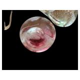 Set of 3 Clear Art Glass Paperweights Apple, Bird and Swirl Sphere