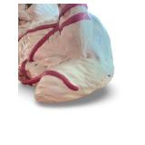 Vintage Ceramic Cat Figurine with Pink Yarn Ball