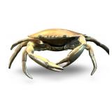 Brass Crab Trinket Box/Ashtray with Hinged Shell