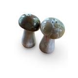 Two Pairs of Ceramic Mushroom Salt and Pepper Shakers