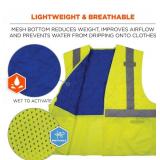 NEW Ergodyne Chill-Its 6668 Hi-Vis Safety Cooling Vest - Type R, Class 2 - LIME - MEDIUM
