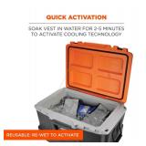 NEW Ergodyne Chill-Its 6665 Evaporative Cooling Vest - Embedded Polymers, Zipper Closure - Gray - MEDIUM