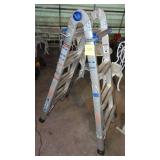 300 LB Werner MT17 Muti Ladder