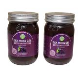 Sumdip | Sea Moss Gel