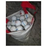 Small shopping tote of golf balls...
