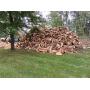 Appx 50 Cords Firewood