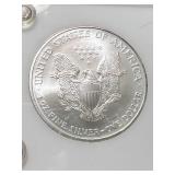 2006 AMERICAN SILVER EAGLE IN 