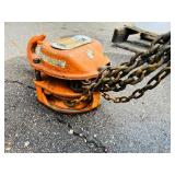 (2) Chain hoists: Black Bear YB-300 3-ton; Coffing Model LHH-2B 2-ton