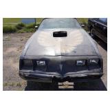 1979 Pontiac Trans Am Roller 1979 Pontiac Trans Am Roller