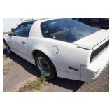 1984 Pontiac Firebird Roller 1984 Pontiac Firebird Roller