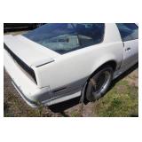 1984 Pontiac Firebird Roller 1984 Pontiac Firebird Roller