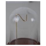 Set of 3 Glass Display Domes with Wood Bases