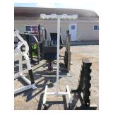 Cybex Chest Press and Racks
