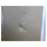 LG French Door/Door-in-Door Refrigerator/Freezer
