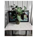 Artwork - 42" Wide x 24" Tall & Plant - 28" Tall