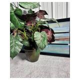 Artwork - 42" Wide x 24" Tall & Plant - 28" Tall