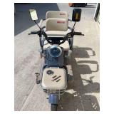 2025 SDLANCH Electric Tricycle Mini Golf Cart (IRGC40) - Purple