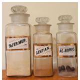 LLR - Set of 3 Vintage Apothecary Glass Jars with Labeled Fronts