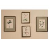 MB - Set of 4 Framed Botanical Prints by JA Mize