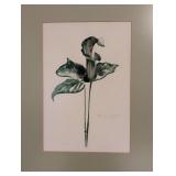 MB - Set of 4 Framed Botanical Prints by JA Mize