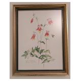 MB - Set of 4 Framed Botanical Prints by JA Mize