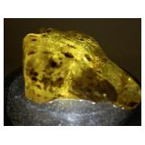 165ct Rough Amber Stone Specimen with Natural Inclusions