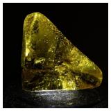 100ct Triangular Polished Yellow Amber Gemstone with Insect