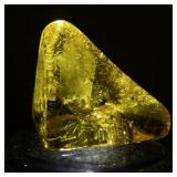 100ct Triangular Polished Yellow Amber Gemstone with Insect